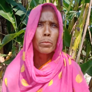 31.nasrin-begum,-sundarganj,-gaibandha.png